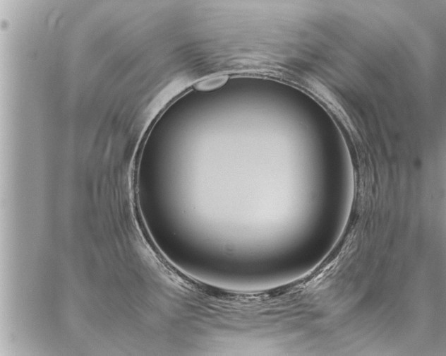 X0000087391291200704201233