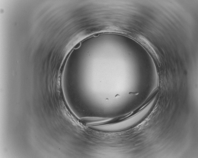 X0000087391292200704201233