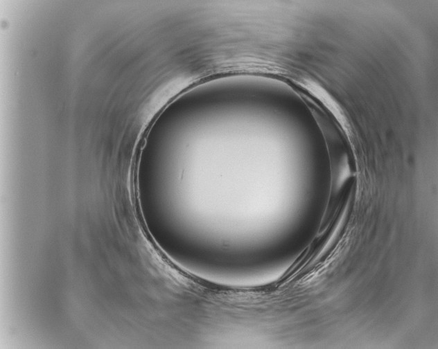 X0000087391293200704201233