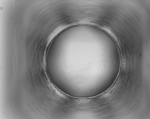 X0000087391294200704201233