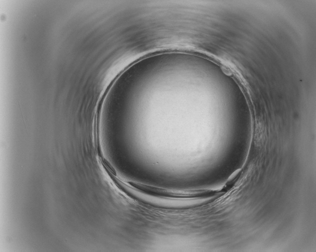 X0000087391295200704201233