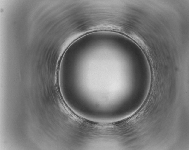 X0000087391296200704201233