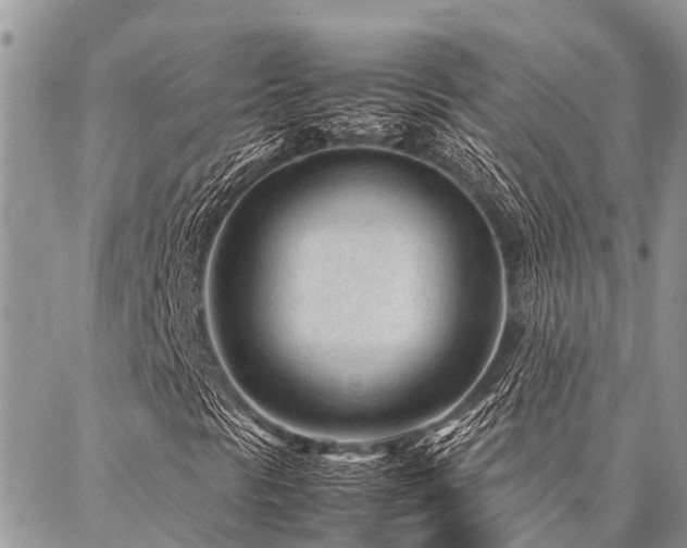 X0000087391297200704201232