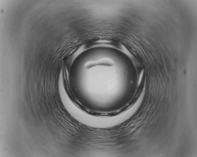 X0000087391298200704201232