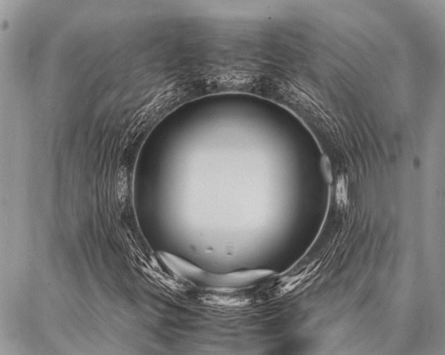 X0000087391299200704201232