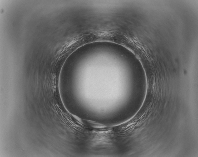 X0000087391301200704201232