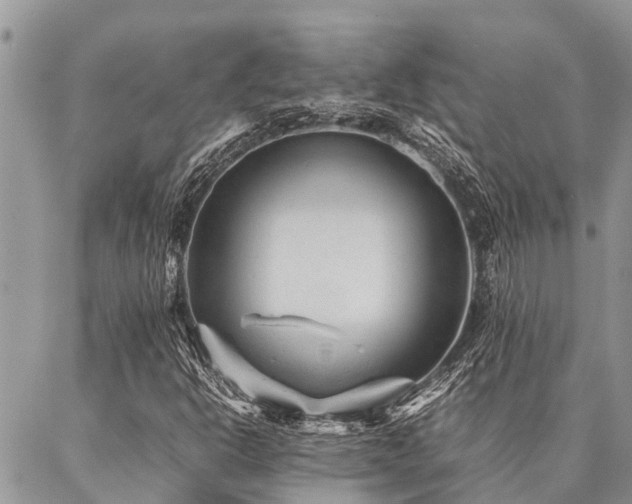 X0000087391302200704201232