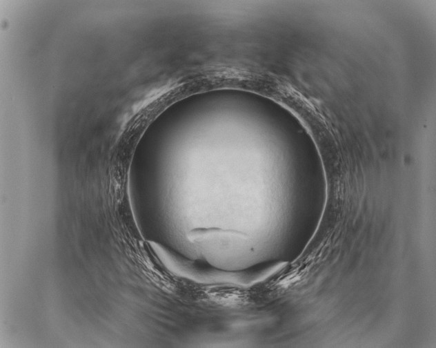 X0000087391303200704201232