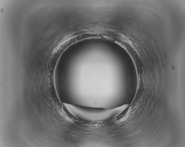 X0000087391304200704201232