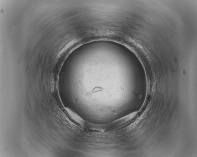 X0000087391306200704201232