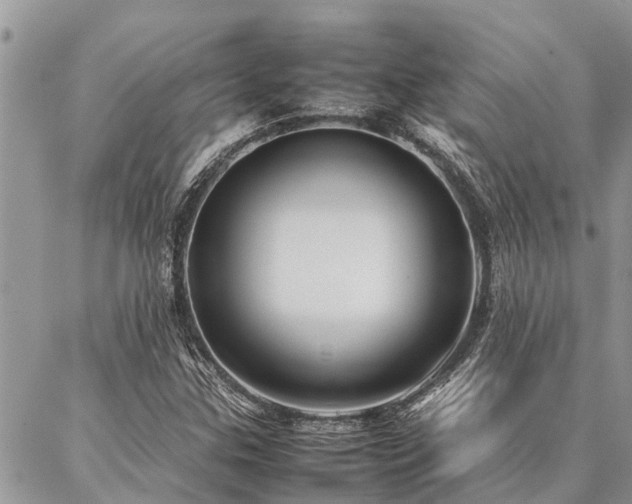 X0000087391307200704201232