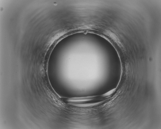 X0000087391308200704201232