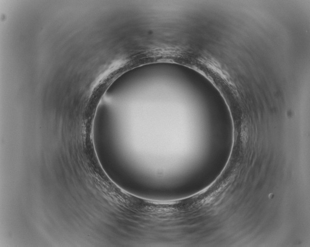 X0000087391309200704201232