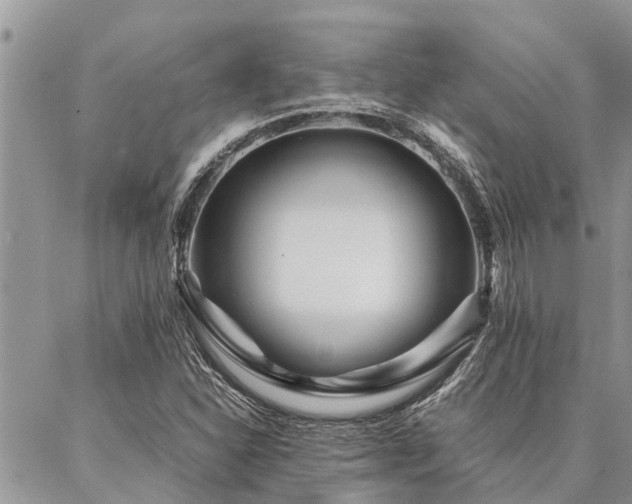 X0000087391310200704201232