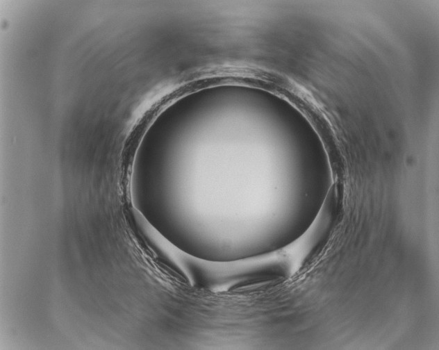 X0000087391312200704201232