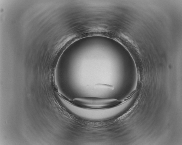 X0000087391313200704201232