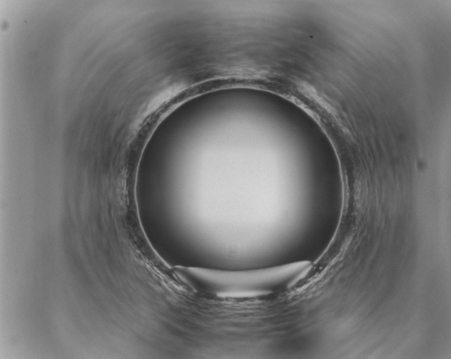 X0000087391315200704201232