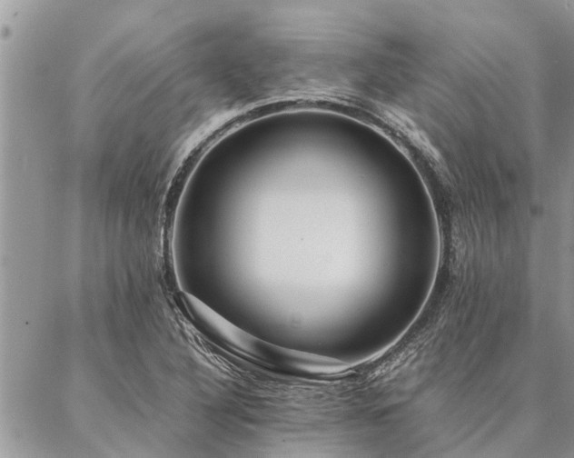 X0000087391316200704201232