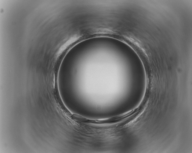 X0000087391317200704201232