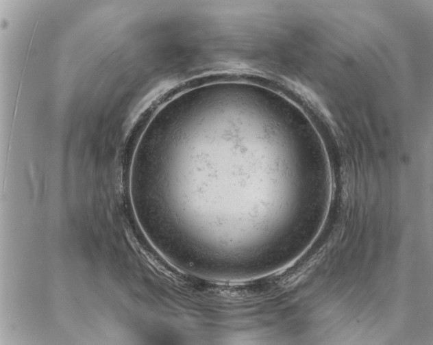 X0000087391318200704201232