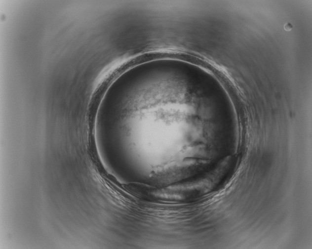 X0000087391319200704201232