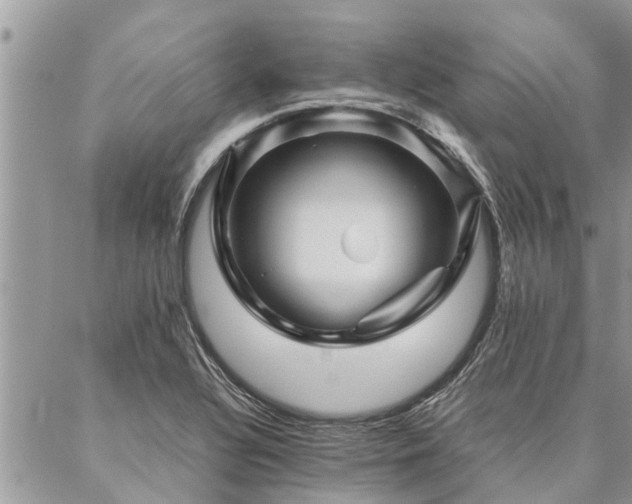 X0000087391320200704201232