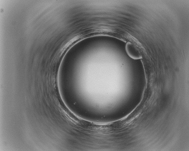 X0000087391321200704201232