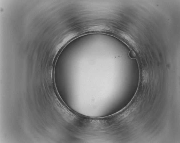 X0000087391322200704201232