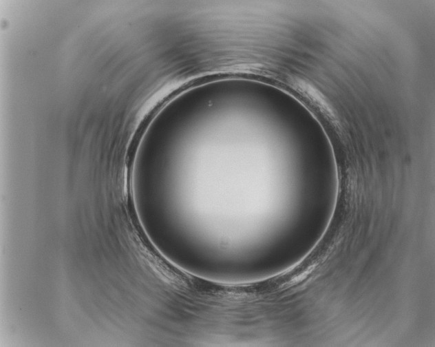 X0000087391324200704201232