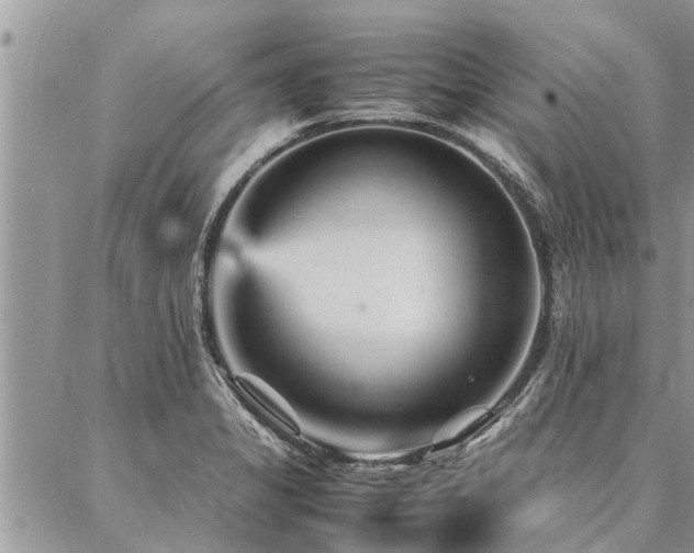 X0000087391325200704201232