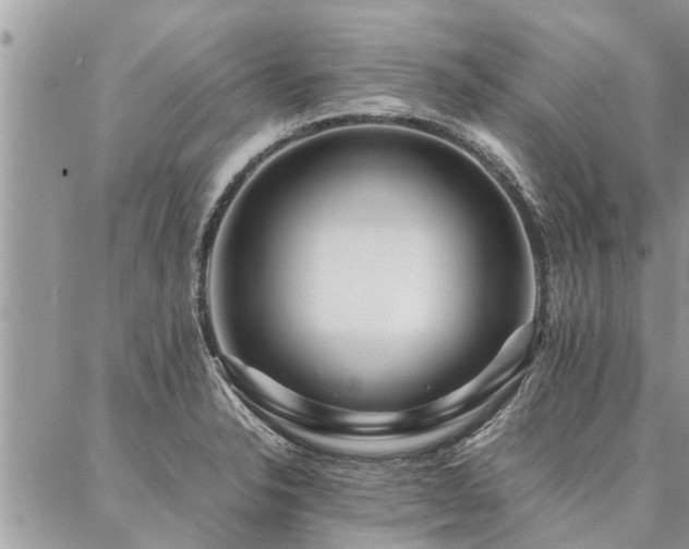 X0000087391326200704201232