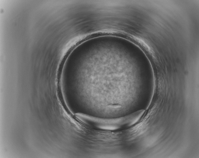 X0000087391327200704201232