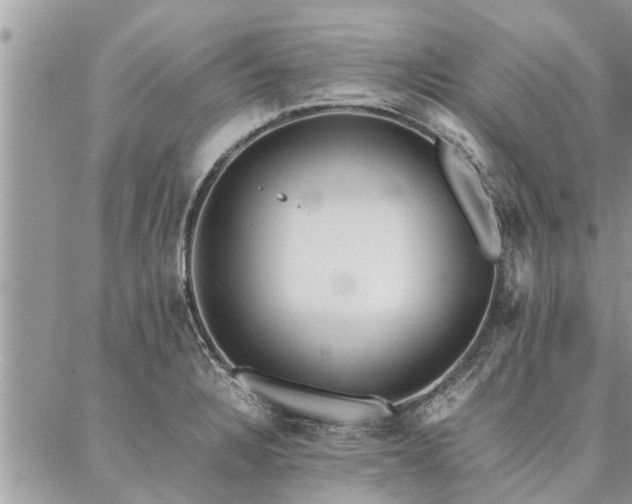 X0000087391328200704201232