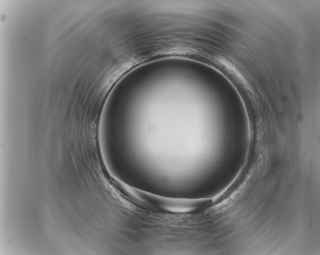 X0000087391329200704201232