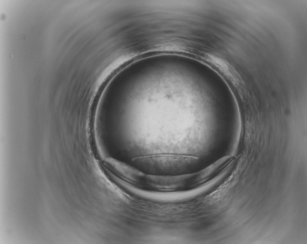 X0000087391331200704201232