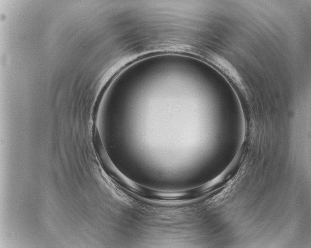 X0000087391332200704201232