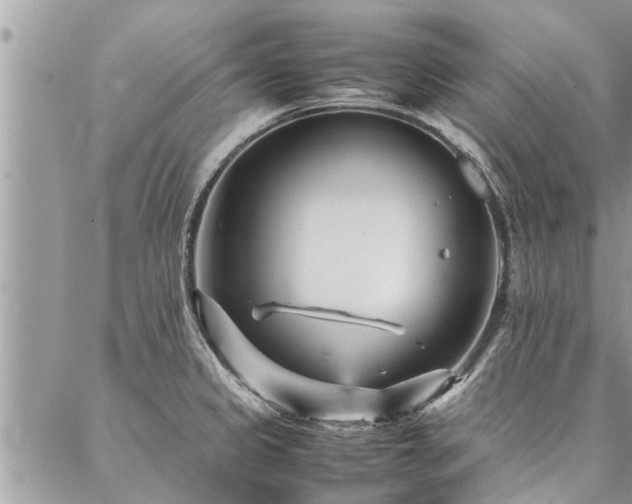 X0000087391333200704201232