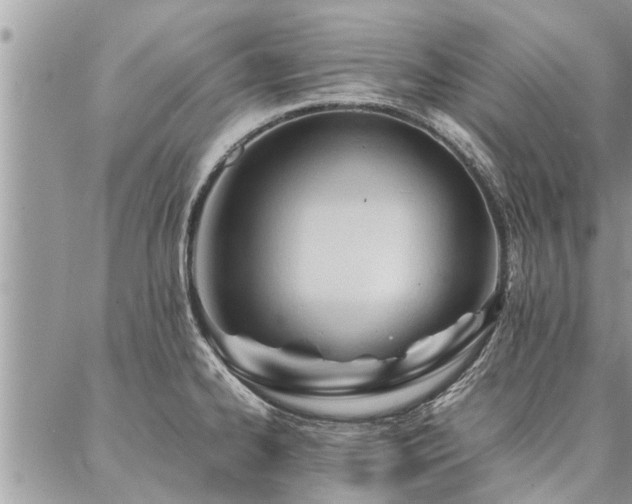 X0000087391334200704201232