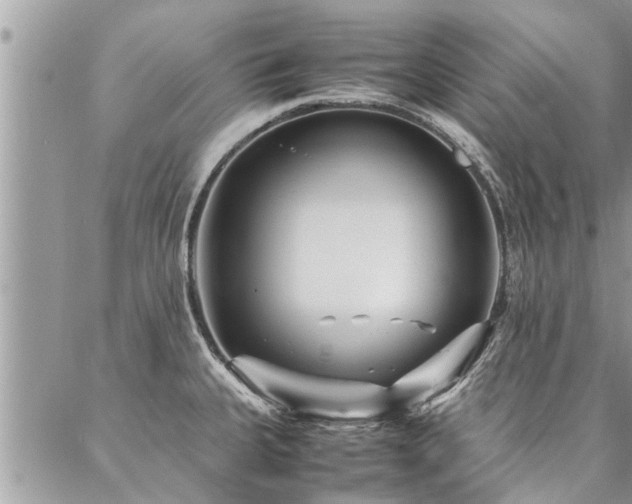 X0000087391335200704201232