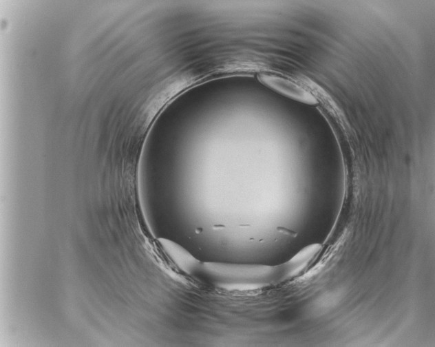 X0000087391337200704201233