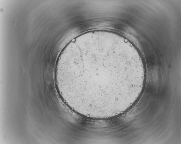 X0000087391338200704201233