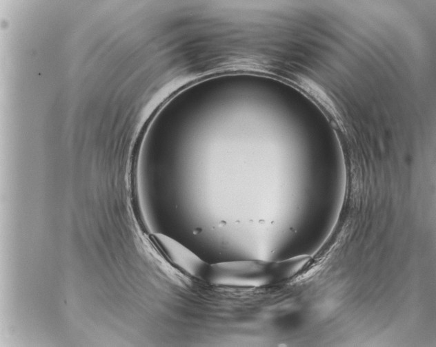 X0000087391339200704201233