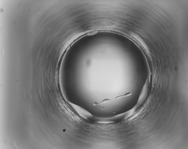 X0000087391340200704201233