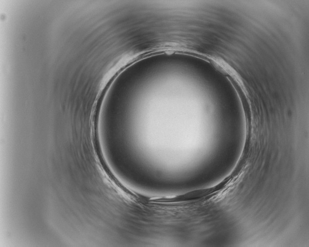 X0000087391341200704201233