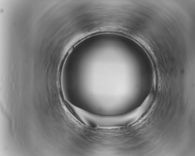 X0000087391342200704201233