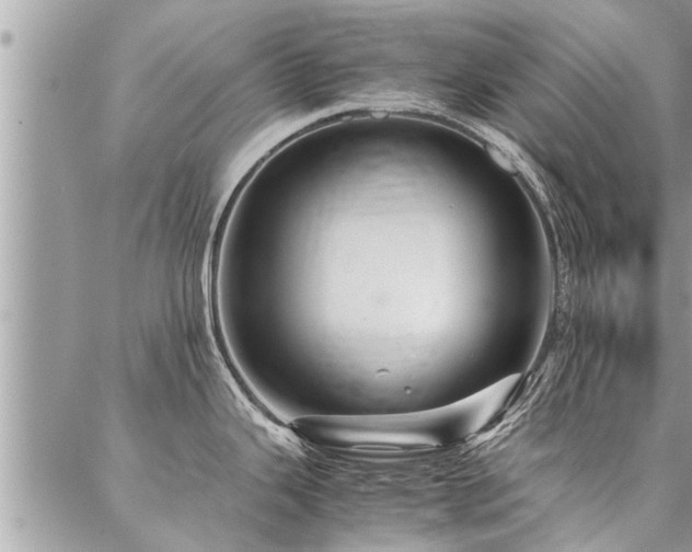 X0000087391343200704201233