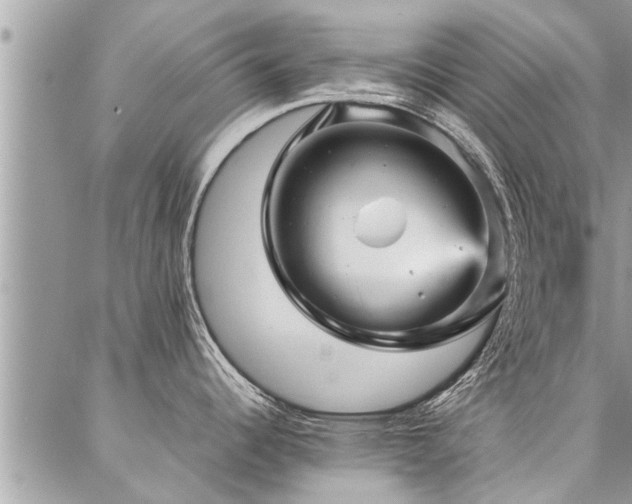 X0000087391344200704201233