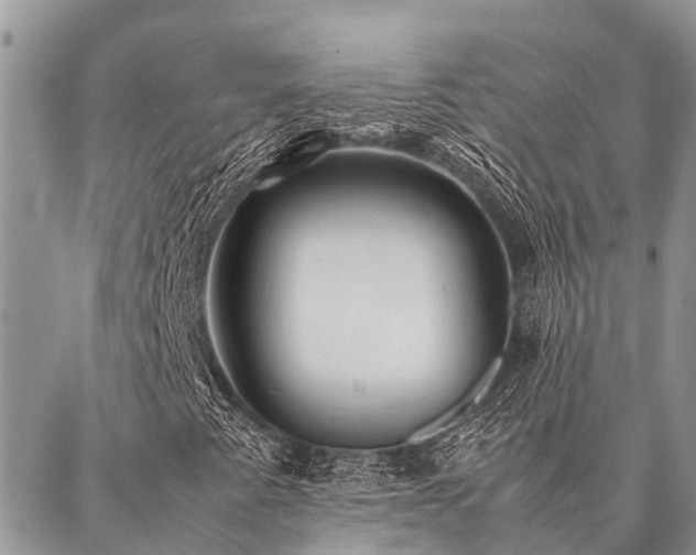 X0000087391345200704201232