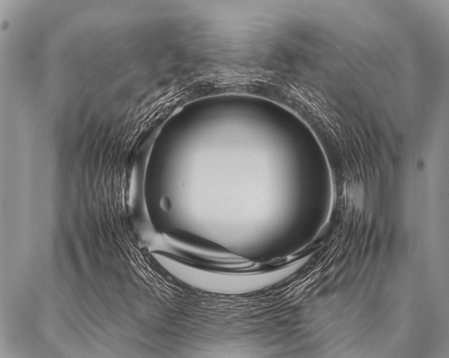 X0000087391348200704201232