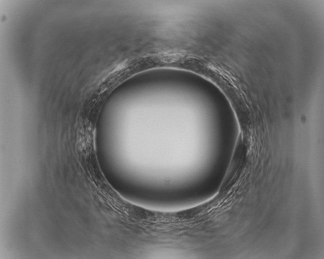 X0000087391349200704201232